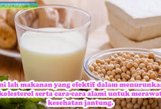 Mengendalikan Kolesterol dengan Makan Sehat, Tips dan Menu Sehari-hari