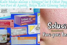 Kulit Mulus dalam 2 Minggu! Ini 8 Obat Pengecil Pori-Pori di Apotik, Bikin Kulit Glowing Sekejap...