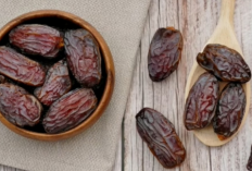 Macam-Macam Nama Kurma Lengkap dengan Kelebihannya, Mana yang Kamu Suka? Buruan Coba!