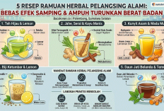 5 Resep Ramuan Herbal Pelangsing Alami: Bebas Efek Samping dan Ampuh Turunkan Berat Badan