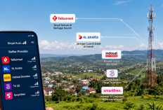 Tips Memilih Provider Internet dengan Sinyal Terkuat di Daerah dan Pedesaan