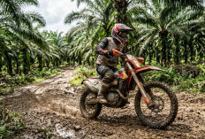 Jalan Lumpur Bukan Masalah! Ini Rekomendasi Trail Bekas Murah untuk Kebun Sawit