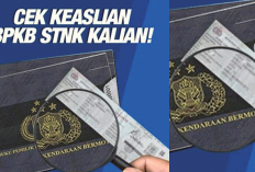 Jangan Tergiur Harga Murah! Ini 7 Tips Aman Membeli Mobil dan Motor Bekas Agar Tak Tertipu