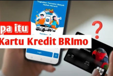 Mudah dan Cepat! Cara Daftar Kartu Kredit Lewat Aplikasi BRImo
