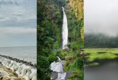 Tempat Healing di Pekalongan yang Bikin Pikiran Segar dan Tubuh Rileks!