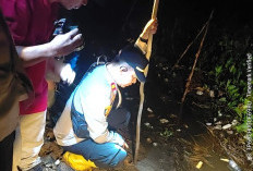 Tengkorak Misterius Gegerkan SP Padang