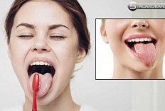  14 Cara Alami Menghilangkan Bau Mulut, Agar lebih Percaya Diri