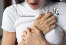 Jantung Sering Berdebar ? Waspadalah, Gejala Jantung Koroner, Ini Ciri-Cirinya