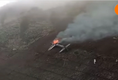 Intip Spesifikasi Pesawat Tucano Milik TNI AU yang Jatuh di Pasuruan