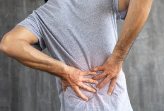 Fisioterapi vs Chiropractic: Mana yang Lebih Efektif untuk Meredakan Sakit Pinggang?