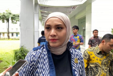 Indonesia Perkuat Ketahanan Energi Lewat Kerja Sama Strategis dengan Amerika Serikat, Ini Dampaknya bagi Masa 