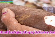 Beras Singkong Menjadi Alternatif pengganti Nasi Untuk Di konsumsi, wuihh Bener Gak Sih ?