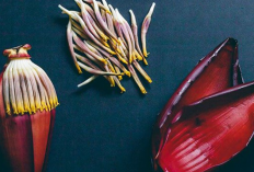 5 Fakta Manfaat Unik Makan Jantung Pisang untuk Kesehatan, Begini Penjelasannya!