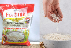 Beras Produksi Wilmar Group Ikut Terseret Dugaan Oplos Beras, Ini Daftar Produk yang Diperiksa!