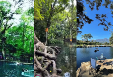 Mau Liburan ke Malang? Ini 3 Tempat Wisata Murah & Indah yang Wajib Kamu Kunjungi!