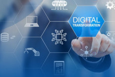 Formasi Seleksi CPNS 2024 Prioritas Talenta Digital, Apa Itu?