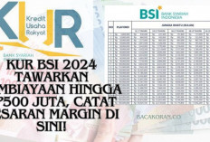 Bisnis Kamu Siap Melesat? KUR BSI 2024 Tawarkan Pembiayaan hingga Rp500 Juta, Catat Besaran Margin di Sini!