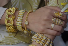 Awalnya Dikenal Daerah Toke Kayu, Kini Tulung Selapan di Cap Sebagai Penjahat Cyber!