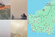 Miris! 1.106 Titik Panas Terdeteksi di Kalimantan Hari Ini, Asap Tebal Ancam Kesehatan Warga  