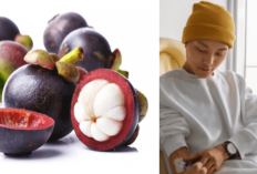 5 Khasiat Buah Manggis untuk Kesehatan Kanker, Ternyata Menyehatkan Karena Kandungan Senyawa Ini...