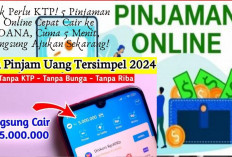 Gak Perlu KTP! 5 Pinjaman Online Cepat Cair ke DANA, Cuma 5 Menit, Langsung Ajukan Sekarang!
