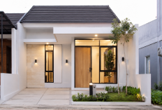 Desain Sederhana, Fungsi Maksimal: Rumah Minimalis Makin Diminati