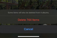 3 Langkah Sederhana Hapus Foto dan Video di iPhone, Tanpa Menunggu 30 Hari