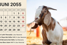 Simak Jadwal Puasa dan Hari Libur Jelang Idul Adha 2025 dari Kemenag, Lengkap dengan Keutamaan dan Niatnya