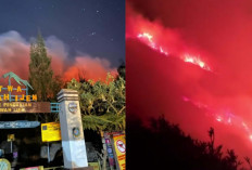 Banyuwangi Darurat! Jalur Pendakian Kawah Ijen Ditutup Sementara Imbas Kebakaran Masuk Area Lereng