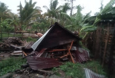 Kasihan Nenek ini, Tinggal Sebatang Kara, Ada Angin Kencang  Gubuknya Roboh, 2 Hari Kemudian Meninggal