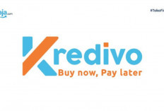 Premiumkan Akun!, Kredivo Bisa Cairkan 10 Juta Tenor 12 Bulan yang Pas Untuk Modal Usaha!