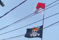 Heboh Pengibaran Bendera One Piece, Dosen Hukum Ungkap Tak Bisa Dipidana, Ini Alasannya!