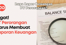 Lupa Lapor Keuangan PT Perorangan? Siap-Siap Kena Sanksi hingga Status Badan Hukum Dicabut