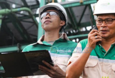 Info Loker! PT Adaro Minerals Buka 4 Posisi Lowongan Kerja Pertambangan 2024, Bagi Seluruh Lulusan S1