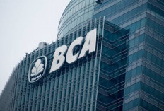 Kabar Baik! Program Magang Bank BCA, Kesempatan Karir Lulusan SMA/SMK
