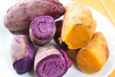 5 Manfaat Ubi Kuning dan Ungu Bagi Kesehatan, Mana yang Terbaik Kandungannya?