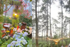 Punti Kayu Palembang Kembali Rame! Rekomendasi Wisata & Ala-Ala Jalan yang Wajib Coba