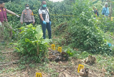 Identitas Kerangka Manusia di Kebun Pisang Terungkap Melalui Tato di Punggung
