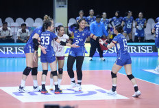 3 Laga Sisa Proliga 2026 Ini Tentukan Nasuib Bandung bjb Tandamata ke Final Four