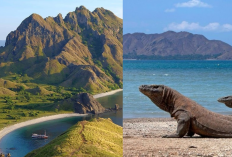 Liburan Anti Mainstream! Eksplorasi Pulau Padar dan Komodo, Dua Permata Nusa Tenggara Timur