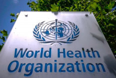 Peringatan Dari WHO, Tentang Lonjakan Kasus Kanker yang Meningkat 77%, Angka Kematian Jadi 2x Lipat!