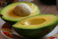 Bukan Hanya Lezat, Begini Cara Pilih Alpukat Memiliki Tekstur Lembut, Anti Zonk!