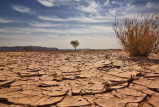 5 Pertanyaan Allah di Hari Kiamat, Apa Aja? Begini Penjelasan Hadits 