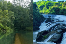 Liburan Asyik di Kendal! 2 Destinasi Alam Keren Banaran & Kedung Pengilon