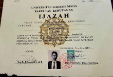 Kasus Ijazah Palsu Terus Bergulir, Presiden Jokowi Tutup Pintu Maaf untuk Roy Suryo CS: Itu Sikap yang Tegas..