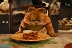 Tidak Perlu Mahal! Ternyata ini 5 Cemilan Sehat Untuk Menjaga Berat Badan Kucingmu, Apa Aja?