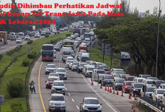 Ini  Jadwal Ganjil Genap Tol Trans Jawa Masa Libur Mudik Lebaran 2024, Jangan Salah Masuk!