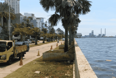 Rembesan Tanggul Pantai Mutiara Bikin Geger! Permukaan Air Laut Berada di Atas Elevasi dan Kawasan Pemukiman