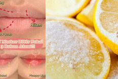 Auto Pink! Ini Cara Alami Mencerahkan Bibir Hitam, Kering & Pecah-pecah, Cuma Oles Bahan Dapur Ini