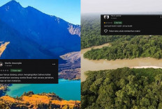Saling Serang di Medsos! Netizen Indonesia Beri Rating Bintang 1 Google Maps Hutan Amazon, Gegara Hal ini